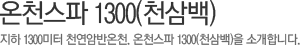 온천스파 1300(천삼백) 지하 1300미터 천연암반온천. 온천스파 1300(천삼백)을 소개합니다.